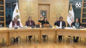 Únicamente los diputados del PAN votaron a favor del sentido positivo del dictamen.