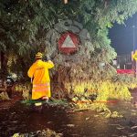 Calles inundadas, árboles caídos y otros daños ocasiona tromba en Celaya