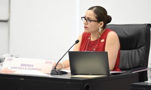 Brenda Canchola Elizarraraz, Consejera Presidenta del IEEG.