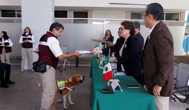 Capacitación a binomios caninos