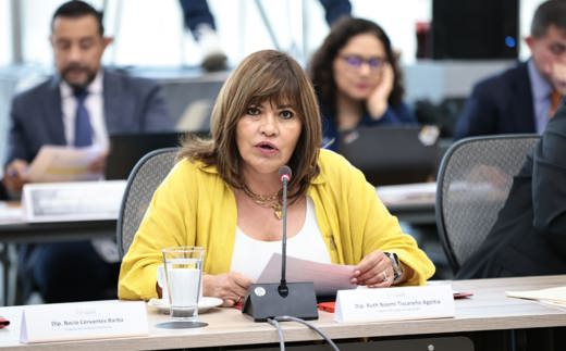 Diputada Ruth Noemí Tiscareño Agoitia.