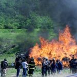 Droga y bienes del crimen con valor superior a 10 millones de pesos fueron destruidos en León