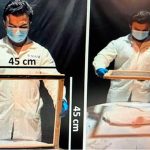 Ensayan en la UNAM efectos del ejercicio y suplementos en la enfermedad de Alzheimer