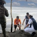 Marina y Profepa resguardan nido con 39 huevos de tortuga marina en Playa Azul, Michoacán