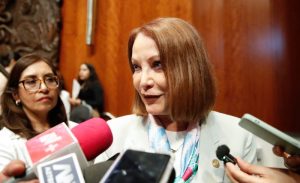 Senadora Laura Itzel Castillo.