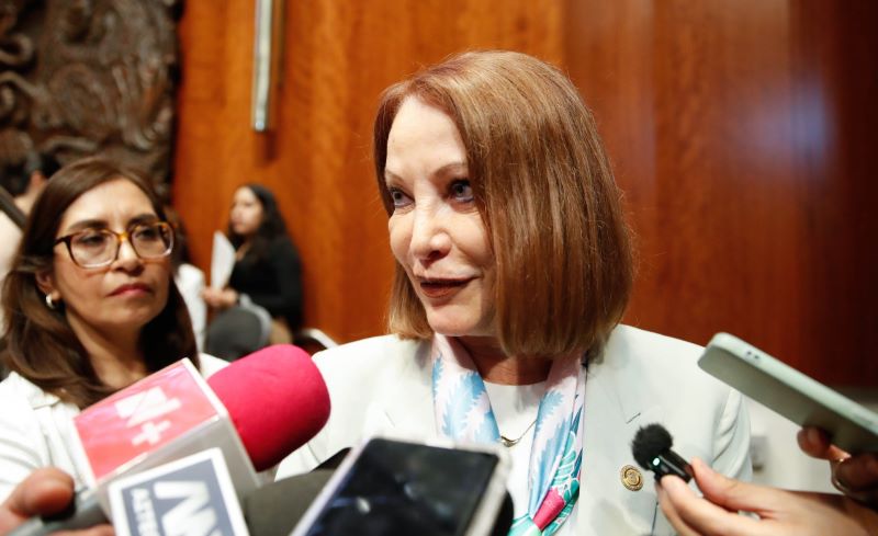 Senadora Laura Itzel Castillo.