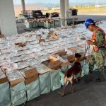 En supuesta carga de vasos pretendían contrabandear al país casi 10 millones de cigarrillos