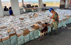 Carga ilícita de cigarrillos asiáticos.
