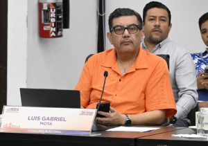Consejero electoral Luis Gabriel Mota.