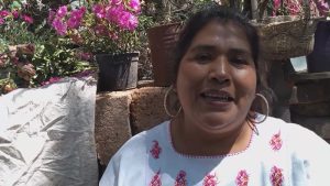 Consuelo Venancio, otomí de Comonfort, Guanajuato, dará un mensaje en su lengua en el Senado de la República.