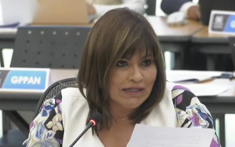 Diputada Ruth Tiscareño Agoitia.