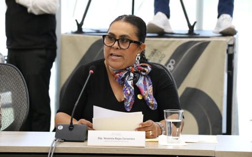 Diputada Yesenia Rojas Cervantes