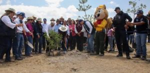 Jornada de reforestación
