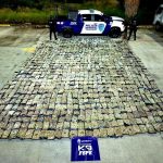 Detecta oficial canino de las FSPE más de media tonelada de presunta marihuana en empresa de paquetería de León
