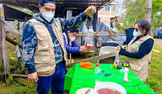 Trampas artesanales para capturar moscas del gusano barrenador del ganado.