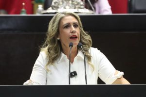 Diputada Paulina Rubio Fernández