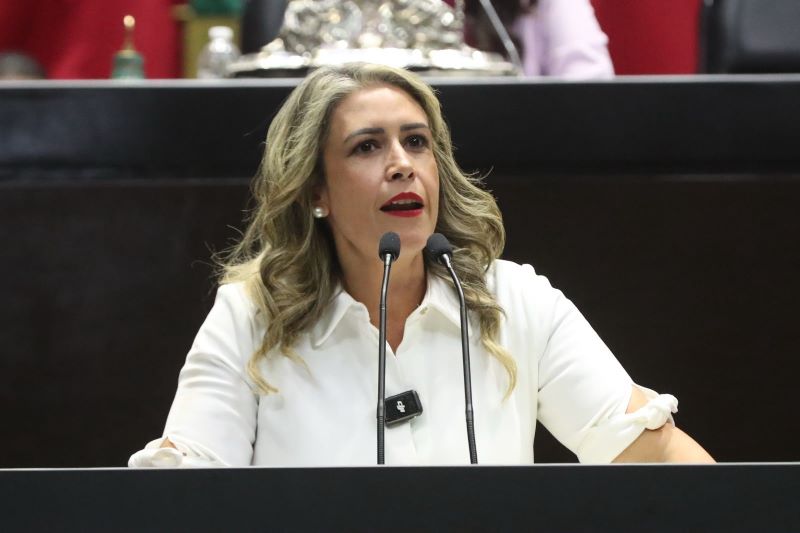 Diputada Paulina Rubio Fernández