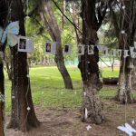 Logra 10 donaciones de órganos y tejidos en lo que va de 2026 el HGZ No. 2 del IMSS Irapuato