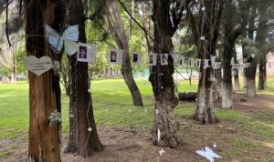 Homenaje a personas donadoras de órganos.