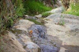 La presa La Soledad tuvo que ser vaciada para reparar la fuga que tenía.
