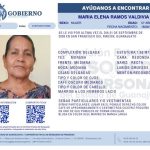 María Elena Ramos Valdivia desapareció en San Francisco del Rincón; familiares y amistades claman ayuda para localizarla 