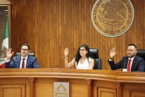 Pleno del TEEG