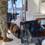 Marina rescata a 45 víctimas de tráfico ilegal en inmediaciones de Ensenada, Baja California