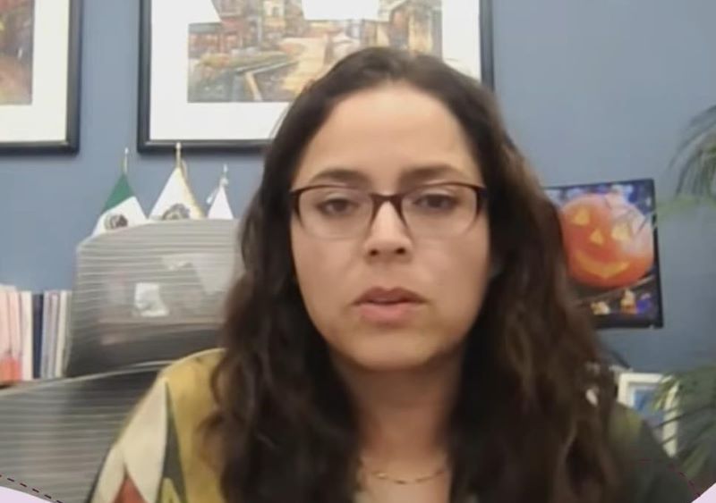 Brenda Canchola Elizarraraz, consejera presidenta del IEEG.