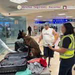 Cocaína oculta en el doble fondo de una maleta en la Aduana del Aeropuerto Internacional de Can Cun