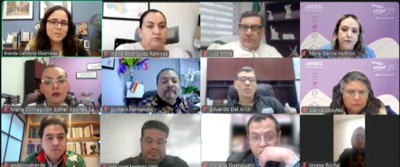 Consejo General del IEEG.