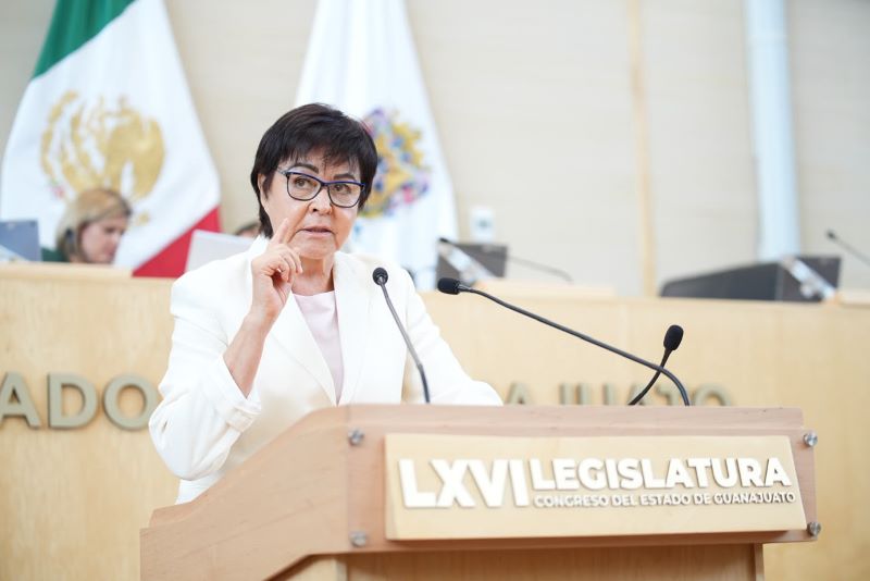 Diputada Ana María Esquivel Arrona