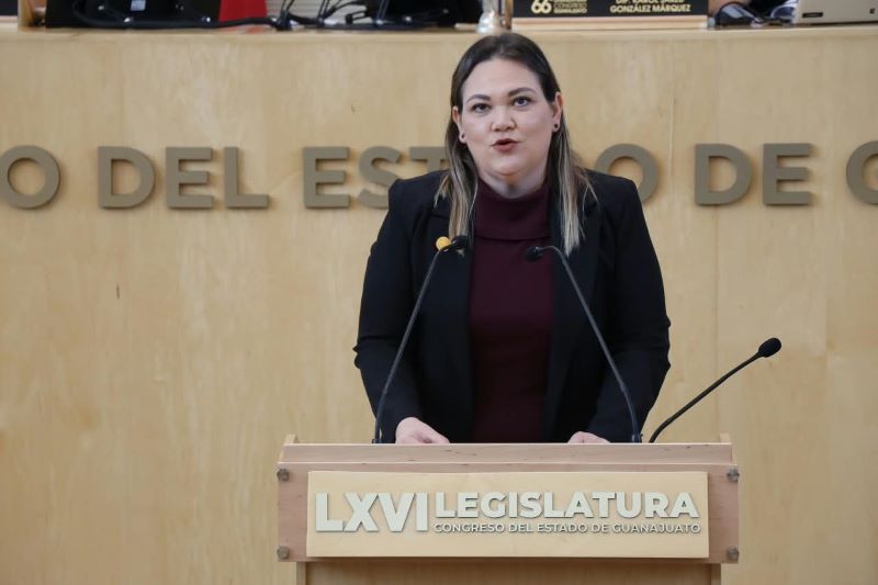 Diputada Rocío Cervantes Barba.