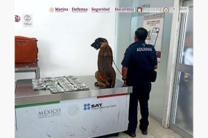 Dólares asegurados
