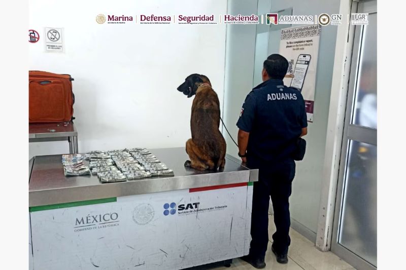 Dólares asegurados