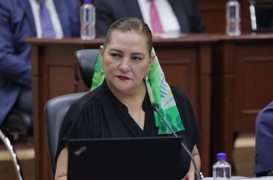 Guadalupe Taddei Zavala.