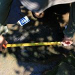 Confirma el INAH descubrimiento de 50 huellas de dinosaurios en Apatzingán, Michoacán