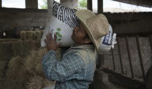 Productor agrícola