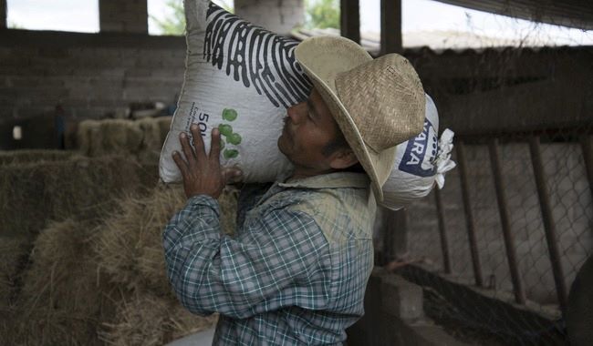 Productor agrícola