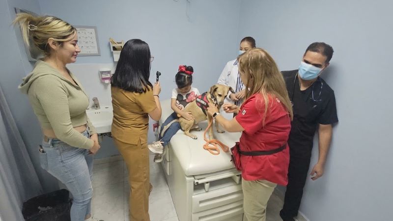Terapia infantil con animales de compañía.